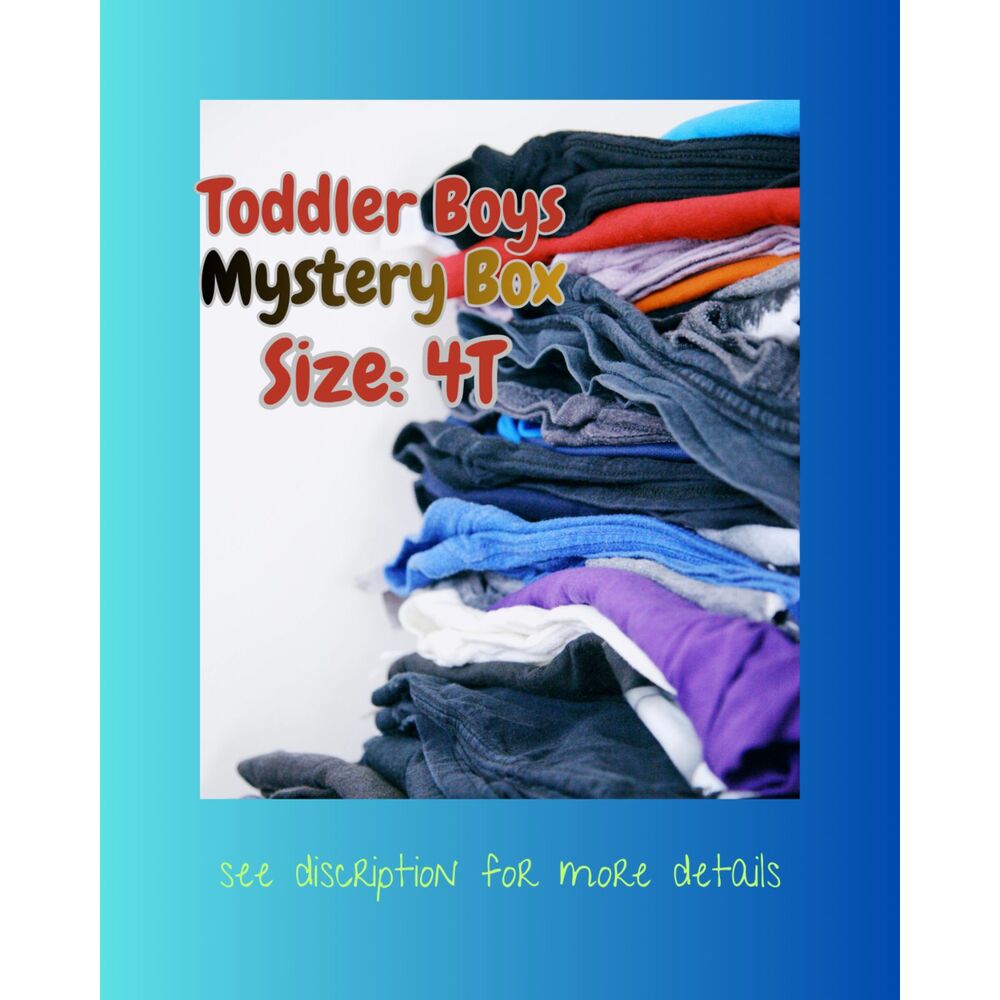 10 pc Mystery Box Lot Bundle Boys Infant Toddler Clothes Tops Bottoms sz: 4T